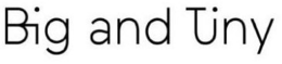 BIG AND TINY trademark