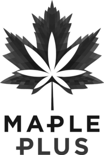 MAPLE PLUS trademark