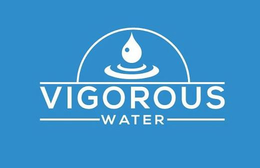 VIGOROUS WATER trademark