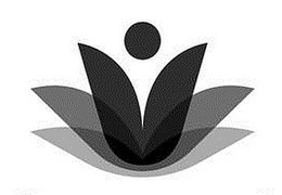 V trademark