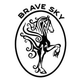 BRAVE SKY trademark
