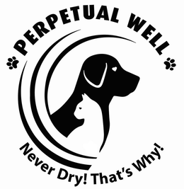 PERPETUAL WELL NEVER DRY! THAT'S WHY! trademark