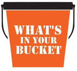 WHAT'S IN YOUR BUCKET trademark