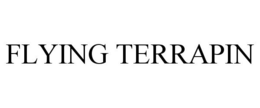 FLYING TERRAPIN trademark