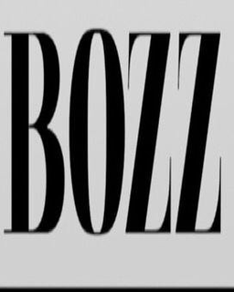BOZZ trademark