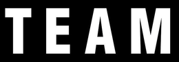 TEAM trademark