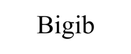 BIGIB trademark