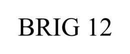 BRIG 12 trademark