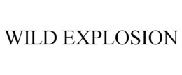 WILD EXPLOSION trademark