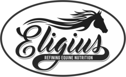 ELIGIUS REFINING EQUINE NUTRITION trademark