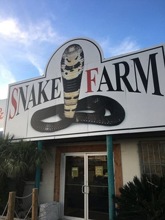 SNAKE FARM trademark