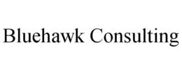 BLUEHAWK CONSULTING trademark