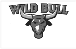 WILD BULL trademark
