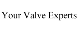 YOUR VALVE EXPERTS trademark