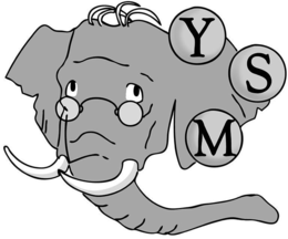 YSM trademark