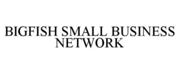 BIGFISH SMALL BUSINESS NETWORK trademark