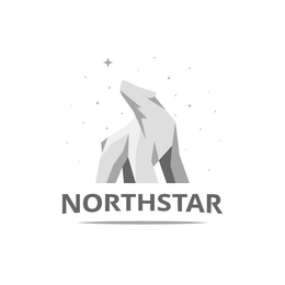 NORTHSTAR trademark