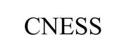CNESS trademark