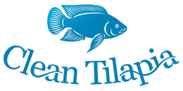 CLEAN TILAPIA trademark