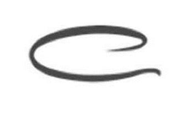 C trademark