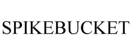 SPIKEBUCKET trademark