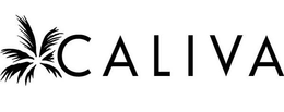 CALIVA trademark