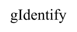 GIDENTIFY trademark