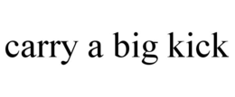 CARRY A BIG KICK trademark
