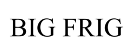BIG FRIG trademark