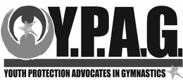 YPAG YOUTH PROTECTION ADVOCATES IN GYMNASTICS trademark