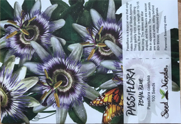 PASSIFLORA ROYAL BLUE PASSIFLORA CAERULEA 100 SEEDS SEED NEEDS PASSIFLORA IS A TROPICAL VINE THAT ORIGI-NATES FROM MUCH OF SOUTH AMERICA.  THEY QUICKLY FORM SLENDER, VINING STEMS, THAT GROW TO A LENGTH OF 10-15 FEET LONG.  THE LEAVES ARE STAR SHAPED, AND THE FLOWERS ARE SAUCER LIKE IN APPEARANCE.  THE OUTER PETALS ARE WIDE AND WHITE, SITTING BEHIND 80+ THINNER, MULTICOLORED PETALS.  PERENNIAL FLOWERING VINES. trademark