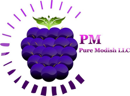 PM PURE MODISH LLC trademark