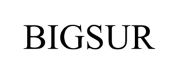 BIGSUR trademark