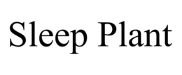 SLEEP PLANT trademark