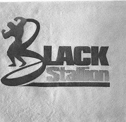 BLACK STALLION trademark
