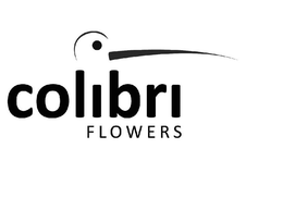 COLIBRI FLOWERS trademark
