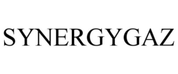 SYNERGYGAZ trademark