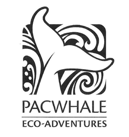 PACWHALE ECO-ADVENTURES trademark