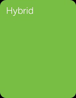 HYBRID trademark