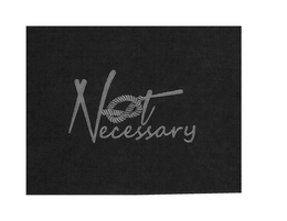 NOT NECESSARY trademark