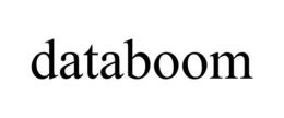 DATABOOM trademark