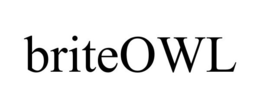 BRITEOWL trademark