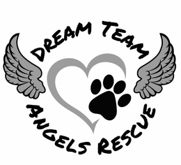 DREAM TEAM ANGELS RESCUE trademark