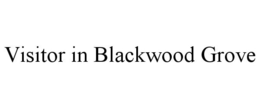 VISITOR IN BLACKWOOD GROVE trademark