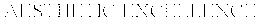 AESTHETIC EXCELLENCE trademark