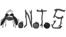A.N.T.S trademark