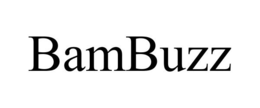 BAMBUZZ trademark