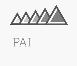 PAI trademark