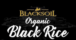 BLACKSOIL ORGANIC BLACK RICE trademark