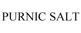 PURNIC SALT trademark